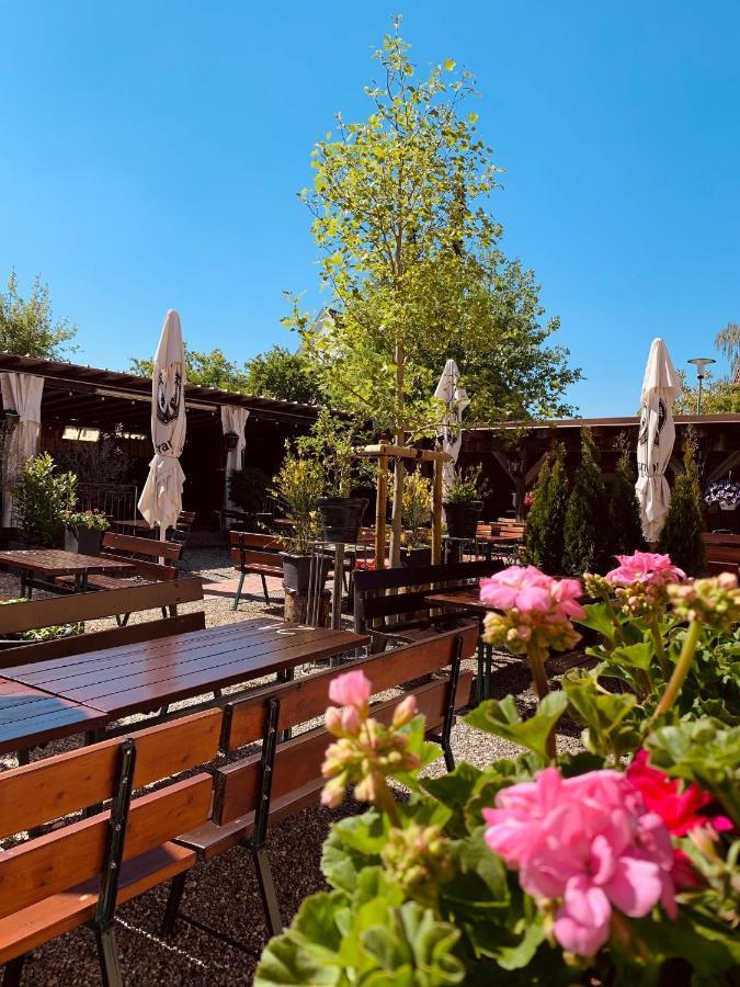 Landgasthof Zur Sonne Dillingen an der Donau Exterior foto
